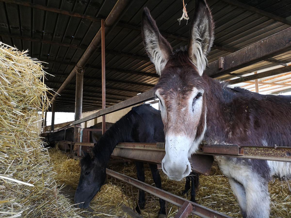 Alojamento de Turismo Rural Fontana La Pietra